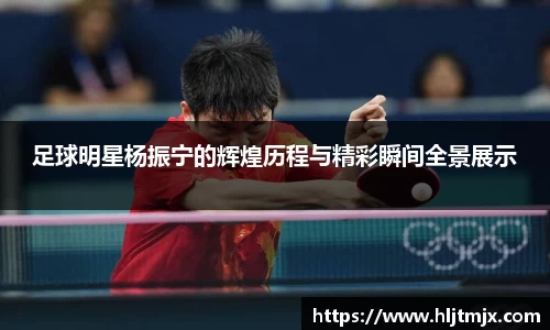 足球明星杨振宁的辉煌历程与精彩瞬间全景展示